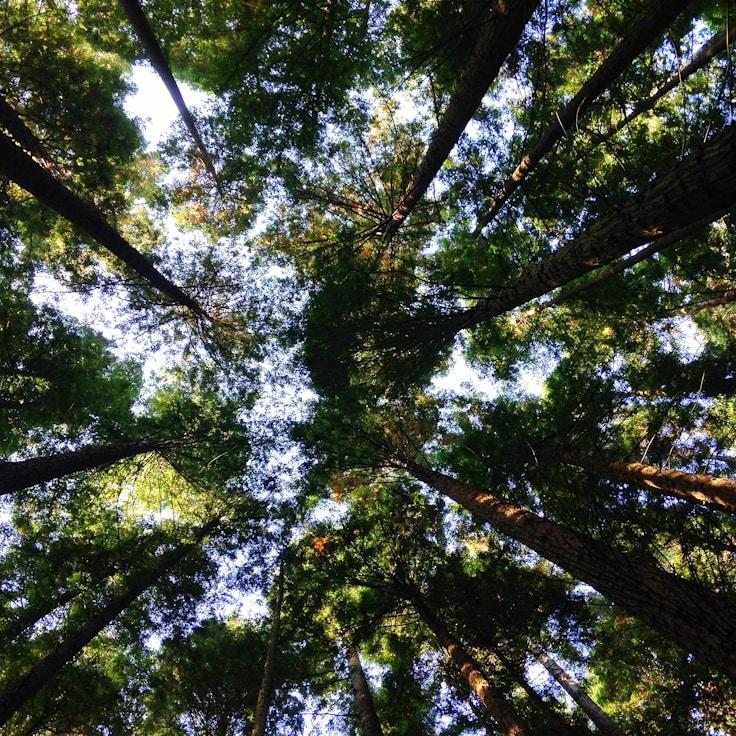 Protected areas at a glance